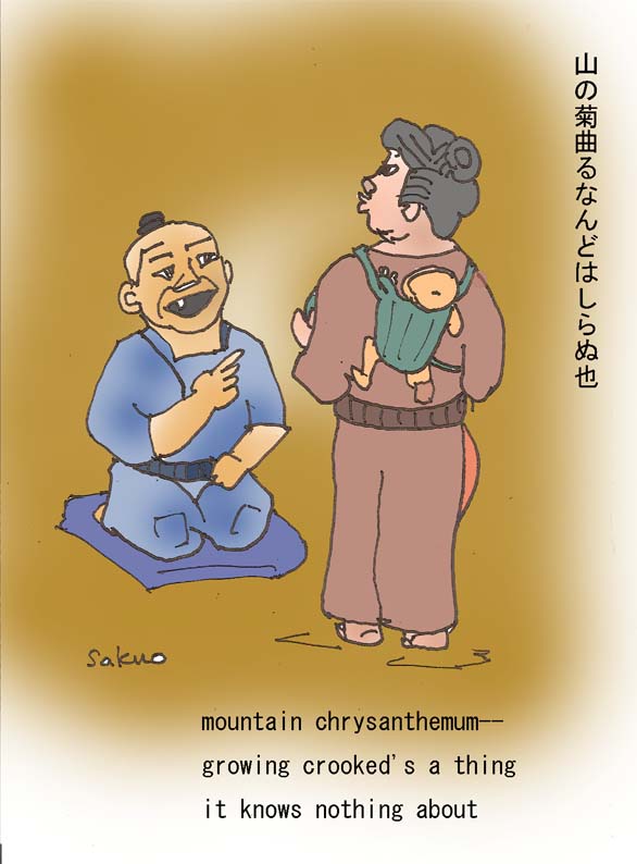 [080727+mountain+chrysanthemum+S.jpg]