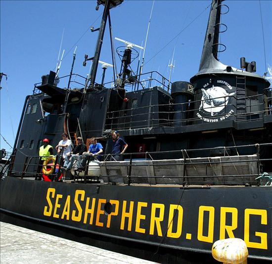 [Canadá+captura+el+barco+insignia+de+la+organización+ecologista+Sea+Shepherd.jpg]