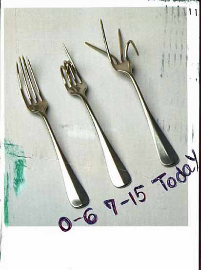 [3+Forks.jpg]