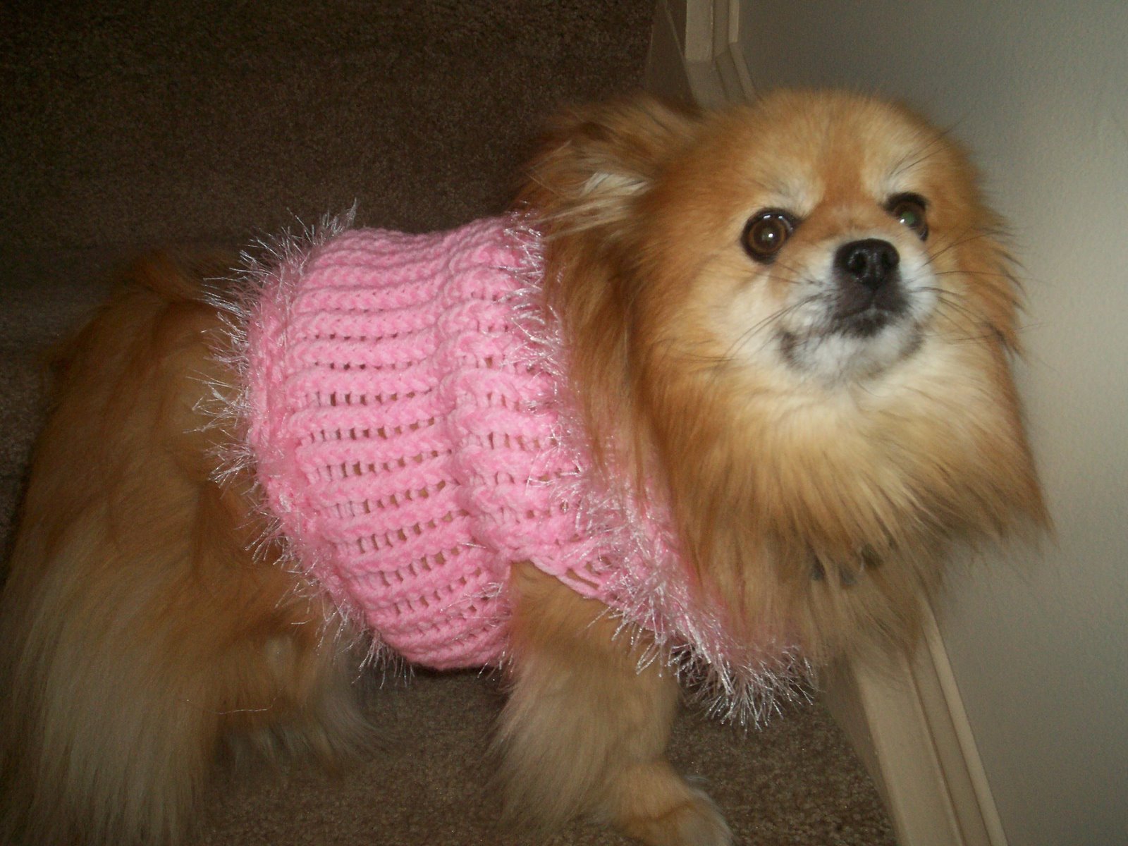 [Little+Bear+Pink+Sweater.jpg]