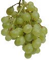 [grapes.bmp]