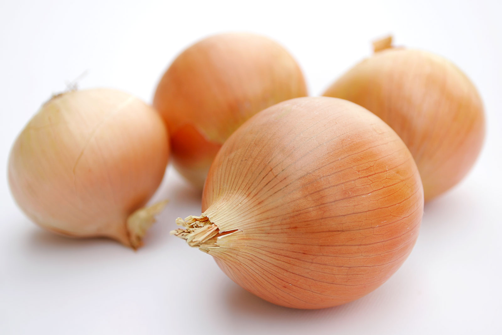 [Onions.jpg]