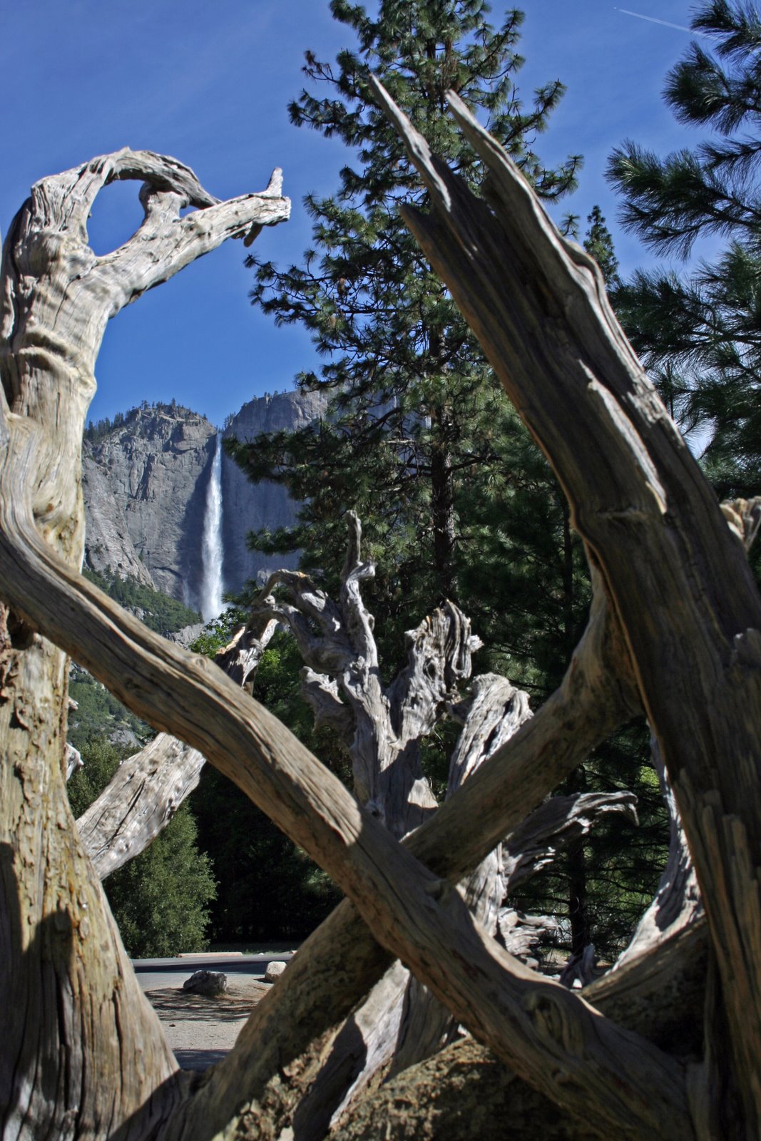 [Yosemite+2008+286.jpg]
