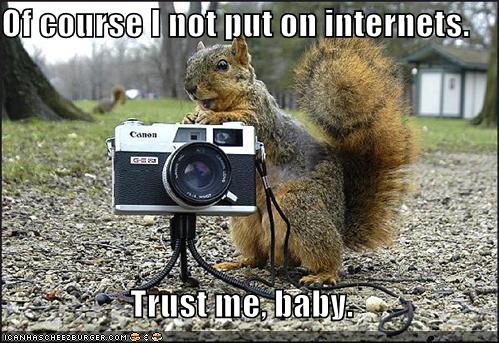 [funny-pictures-creepy-squirrel-camera-park.jpg]