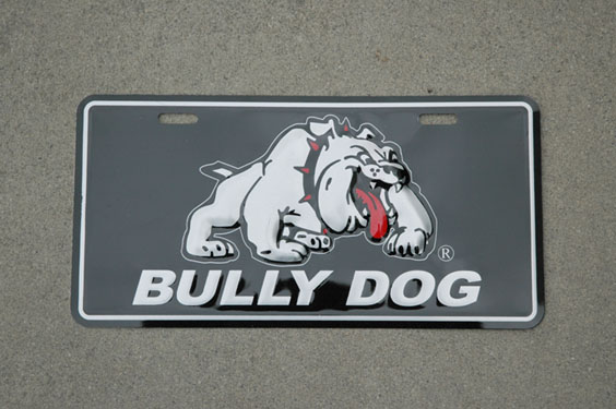 [bully+dog.jpg]