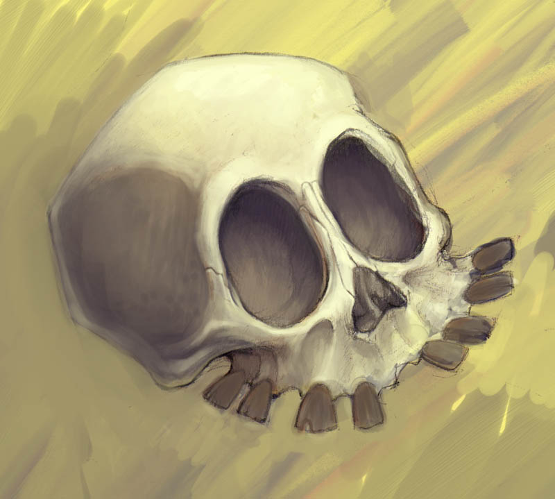 [skull06.jpg]