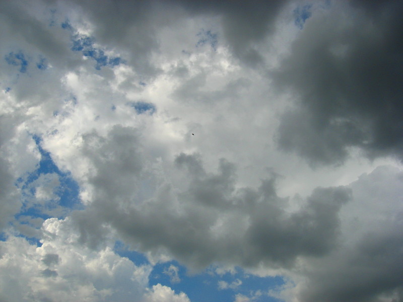 [Clouds.jpg]