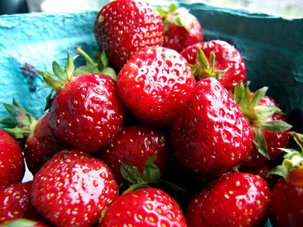 [local-strawberries_071608_SM.jpg]