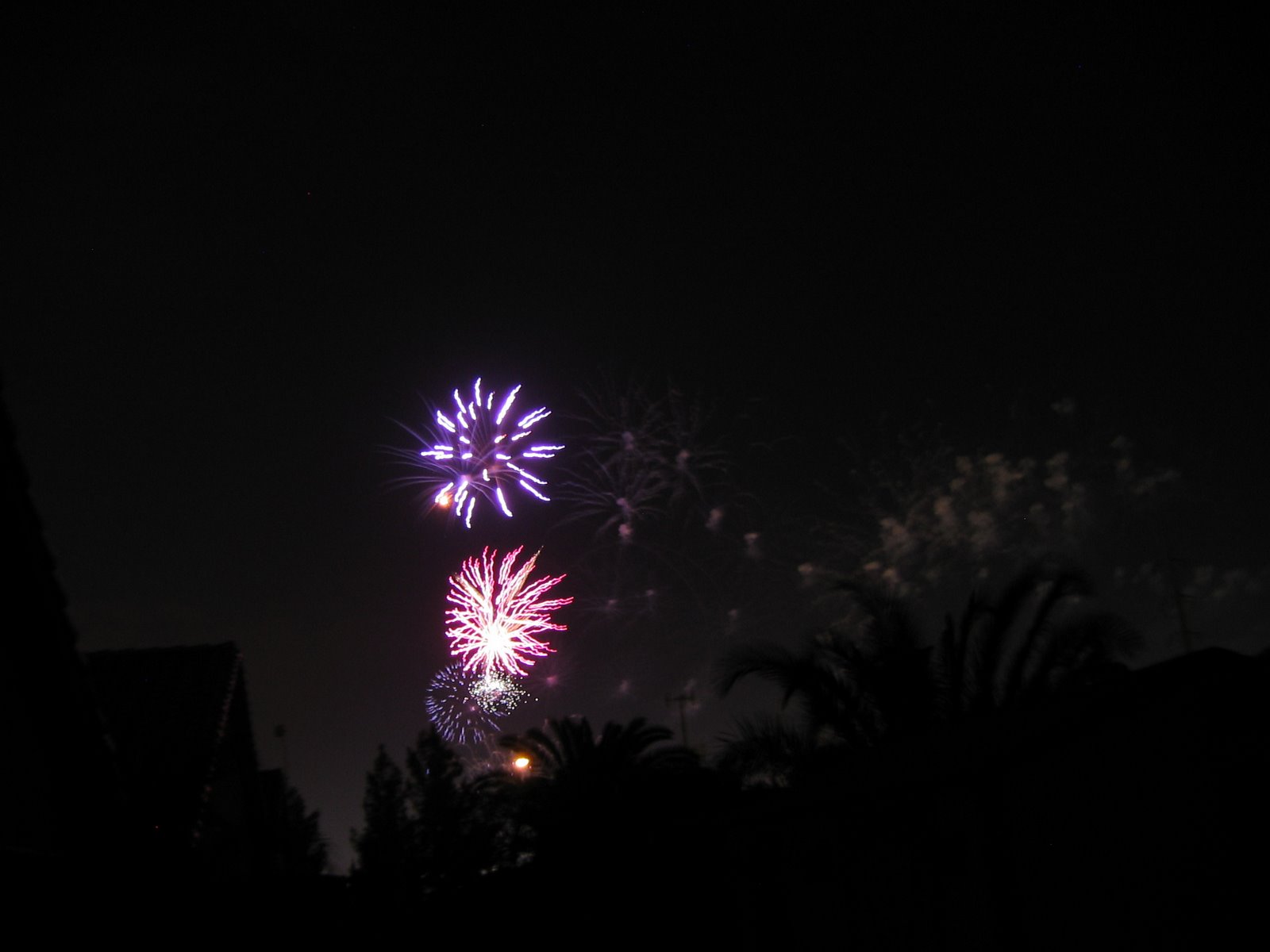 [Fireworks.2.JPG]