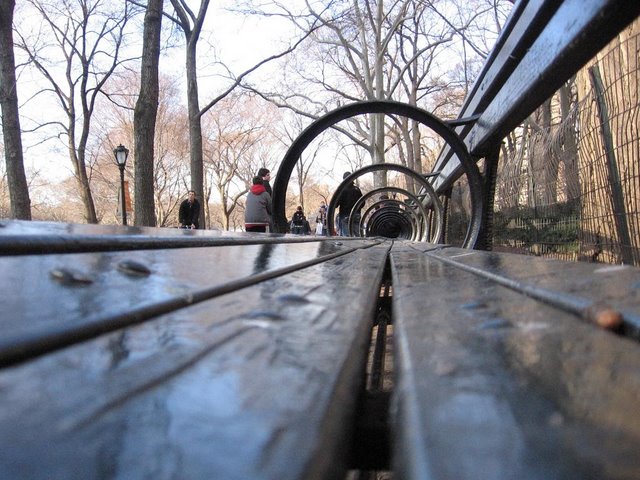 [Central+Park+Benches.JPG]