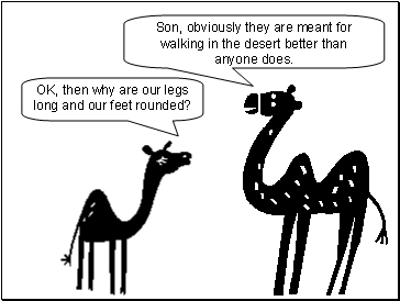 [little_camel_big_question_3.gif]
