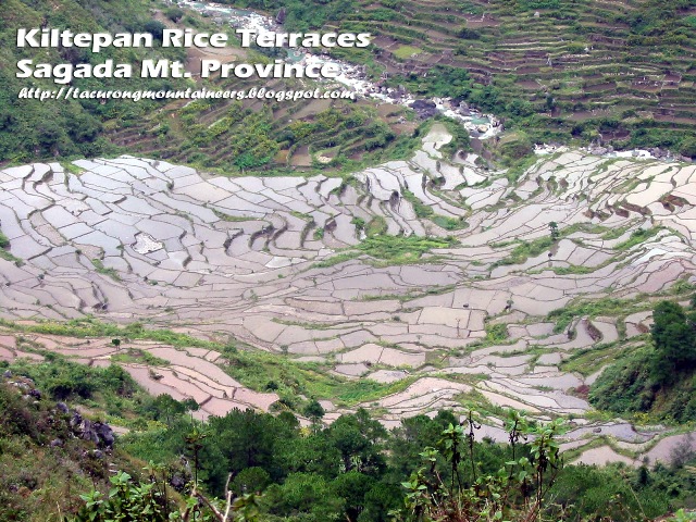 [Kiltepan+Rice+Terraces.jpg]