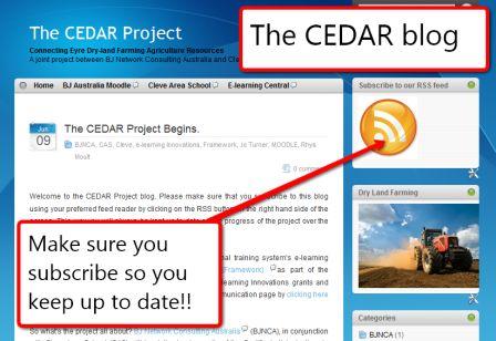 [Cedar+Blog+Small.jpg]