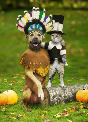 dog as Indian and cat as pilgrim picture
