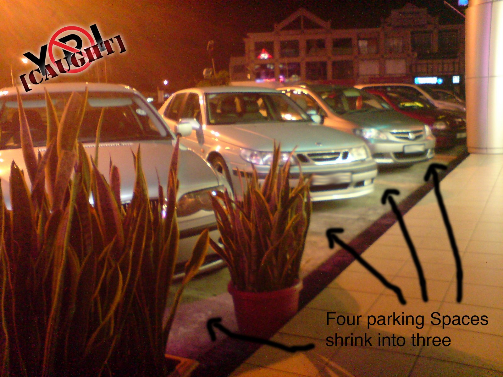 [Parking+idiots+copy.jpg]