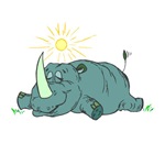 [Sleepy+Rhino.jpg]