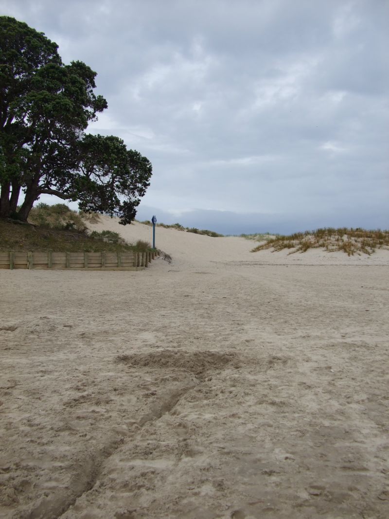 [Sand+Dunes.jpg]