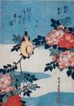 [hokusai+pÃ¡jaro.jpg]