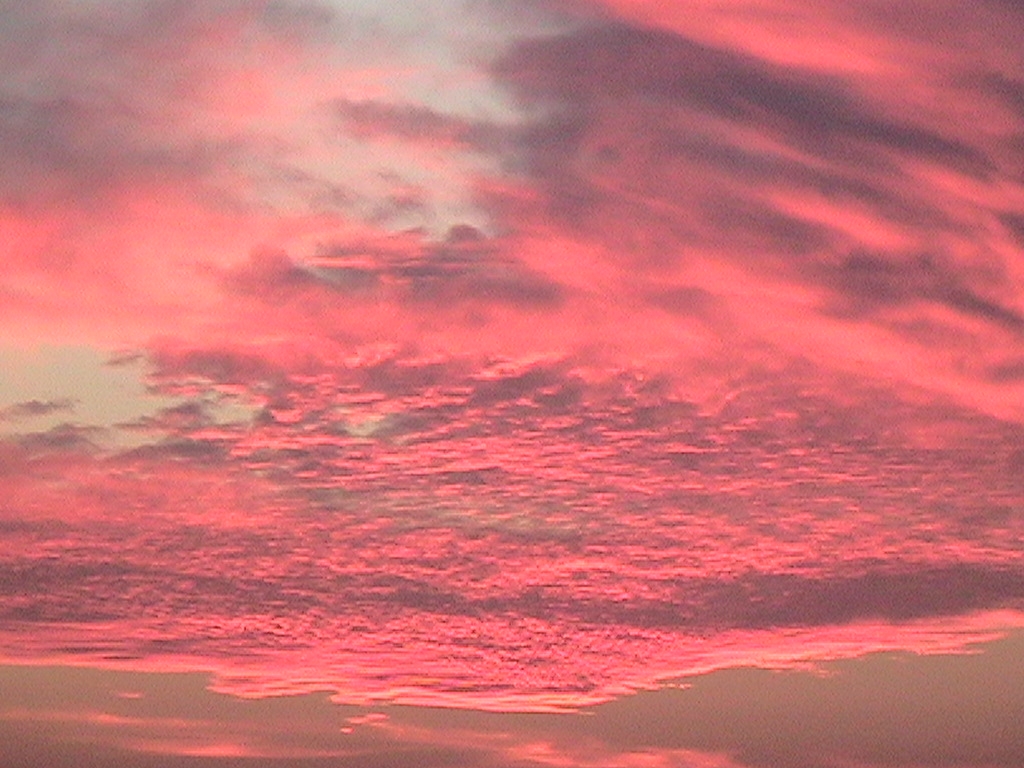 [sky+pictures+pink.JPG]