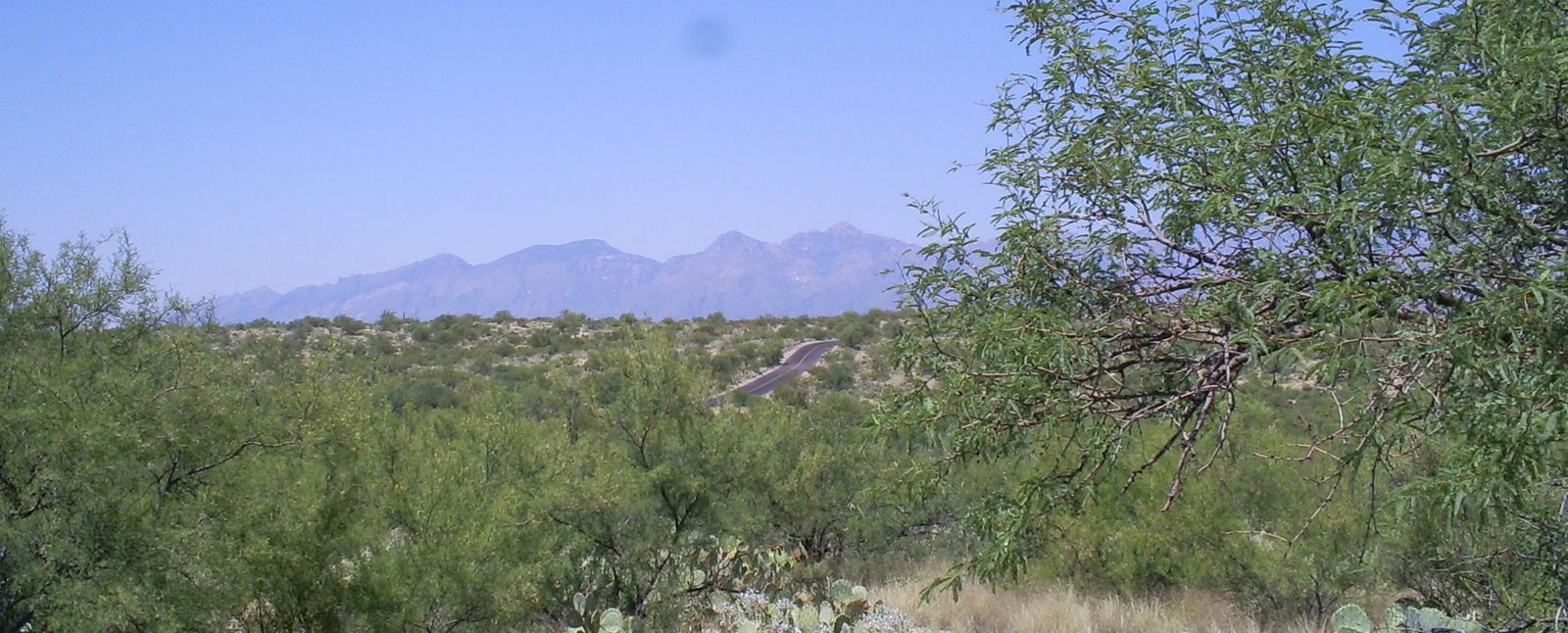 [2007-09-03+-+Saguaro+National+Park+8+Miler+058a.jpg]