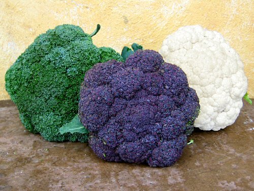 [fal2007_broccoli_vs_cauliflower.jpg]