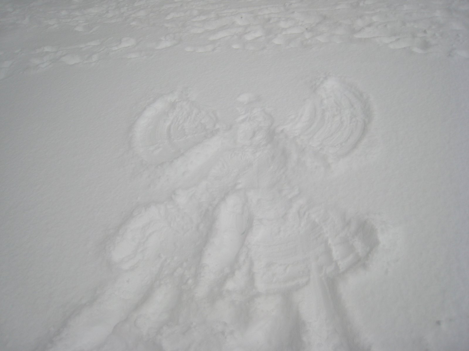 [snow+angel.JPG]