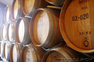 [wine-cellar-at-navarro-vineyards-winery-california-usa-~-E55-274080.jpg]