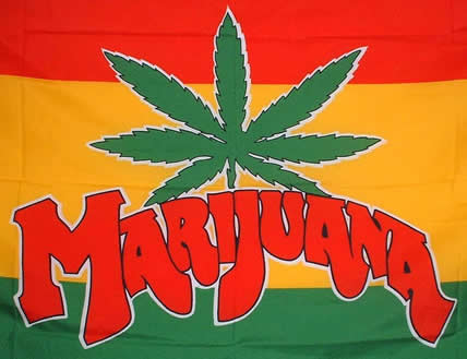 [marijuana1.jpg]