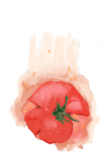 [tomatoe1.jpg]