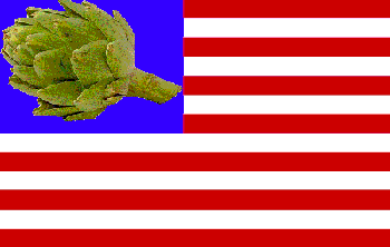 [americanflagOA.gif]