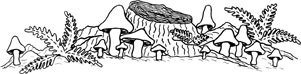 [39-mushrooms-_0030_cathrine's-mushroom-scene.jpg]