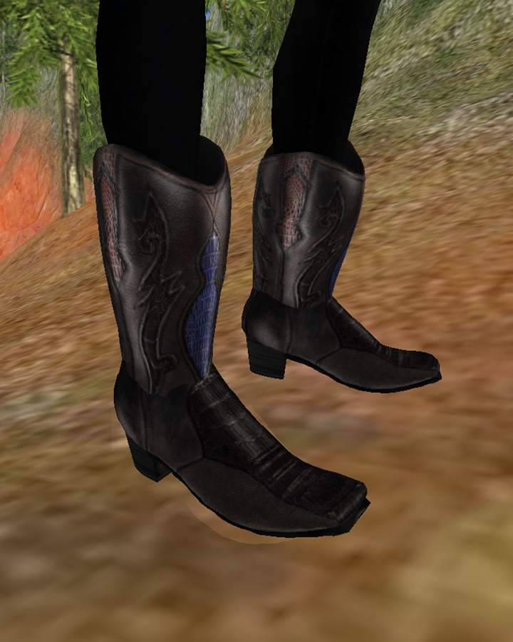 [cowgirl_002boots.jpg]
