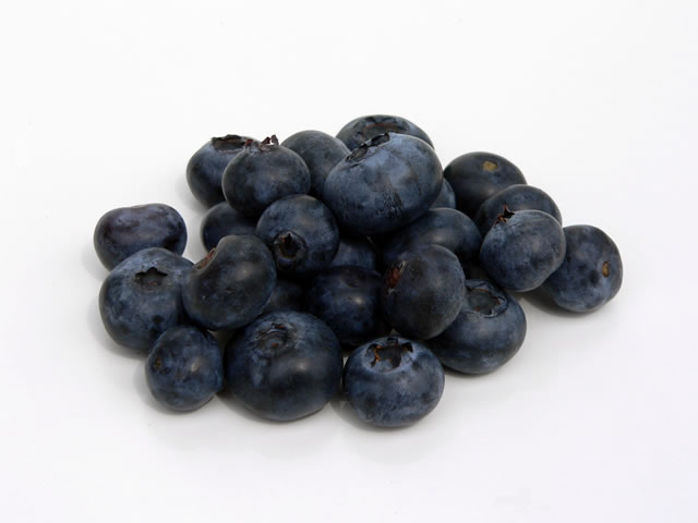 [blueberries3.jpg]