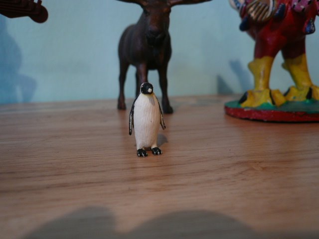 [penguino.JPG]