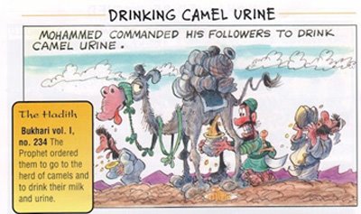[camel+urine+3.bmp]