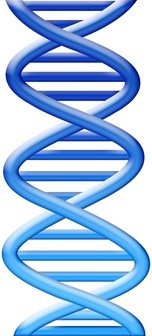 [DNA_logo_thumb[5].jpg]