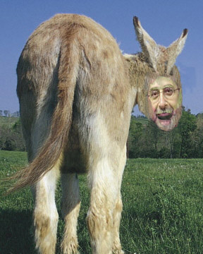 Superintendent Dom the Donkey