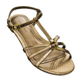 [bronze+sandal.jpg]