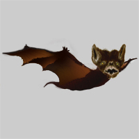 [Bat1.jpg]