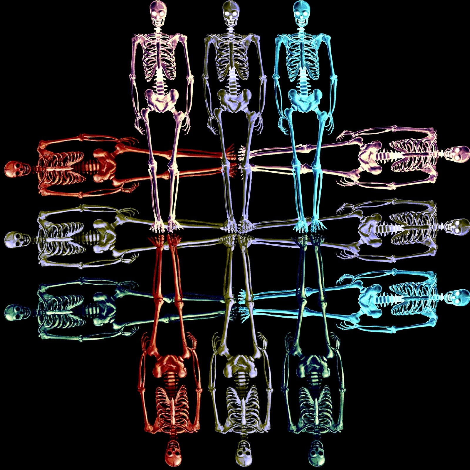 [Human+Skeletons+color+Muste.jpg]