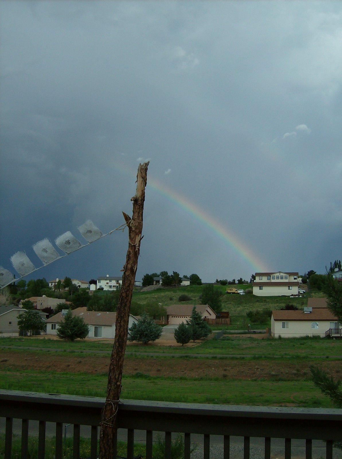 [Verticle+Rainbow.JPG]