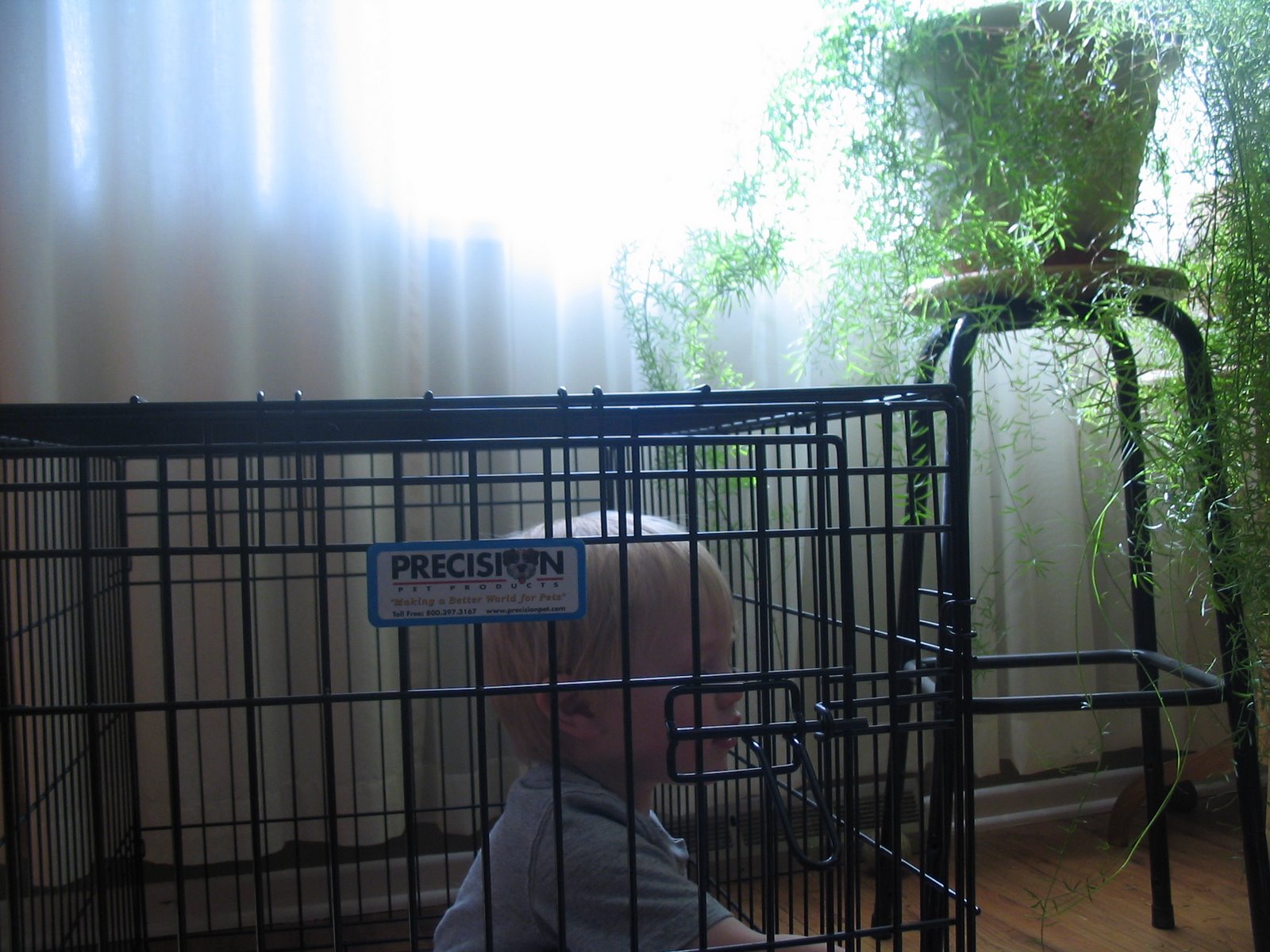 [baby_in_a_cage+002.jpg]