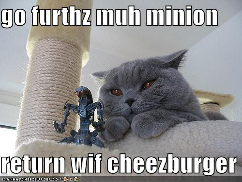 [funny-pictures-cat-sends-minion-for-cheeseburger.jpg]