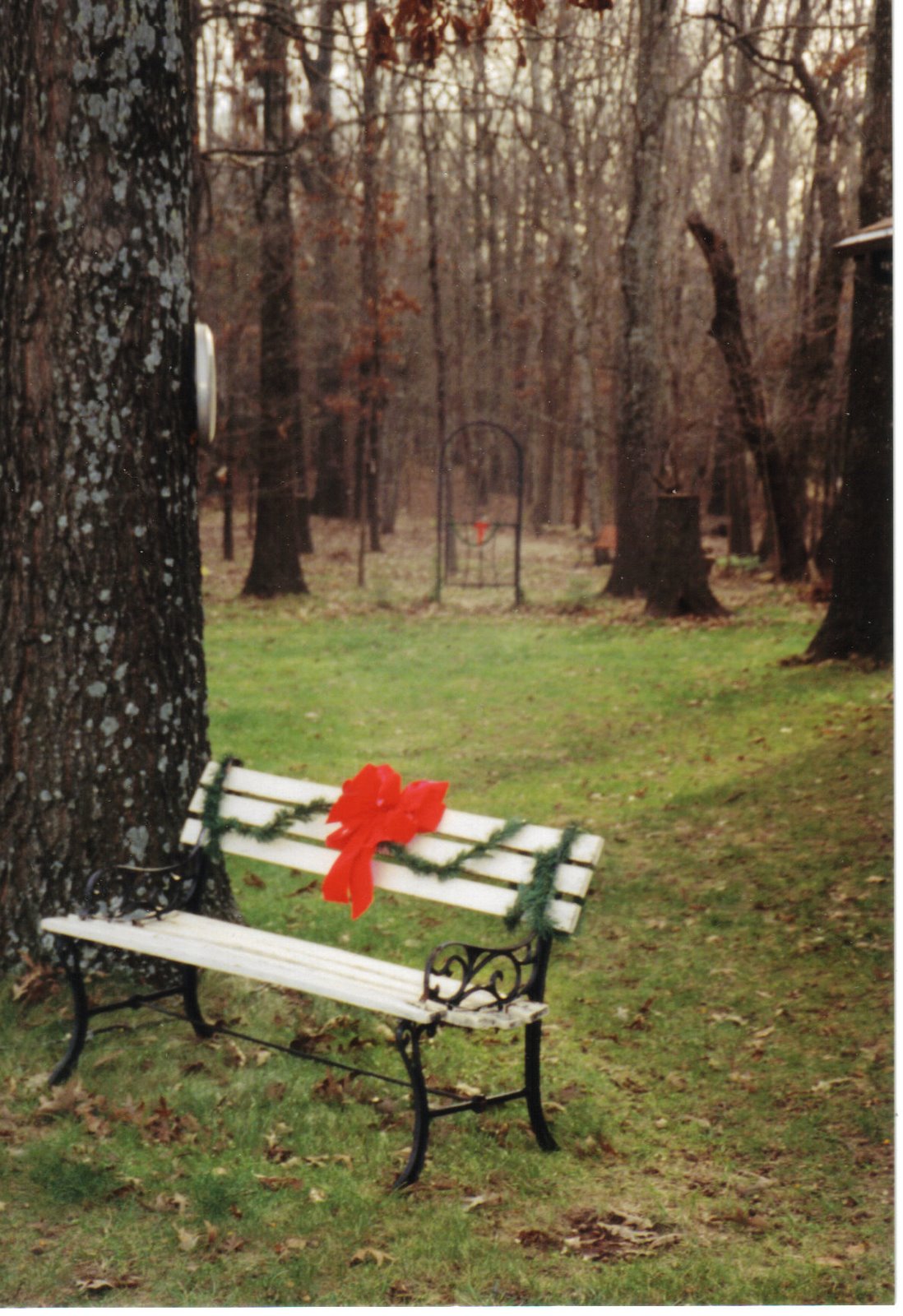[yard+bench+Christmas.jpg]