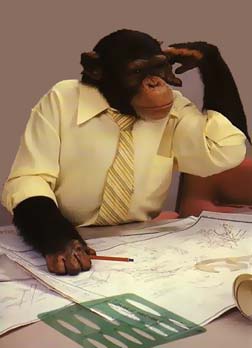 [monkey-office-man.jpg]