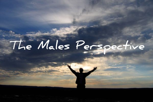 Welcome To The Male Perspective