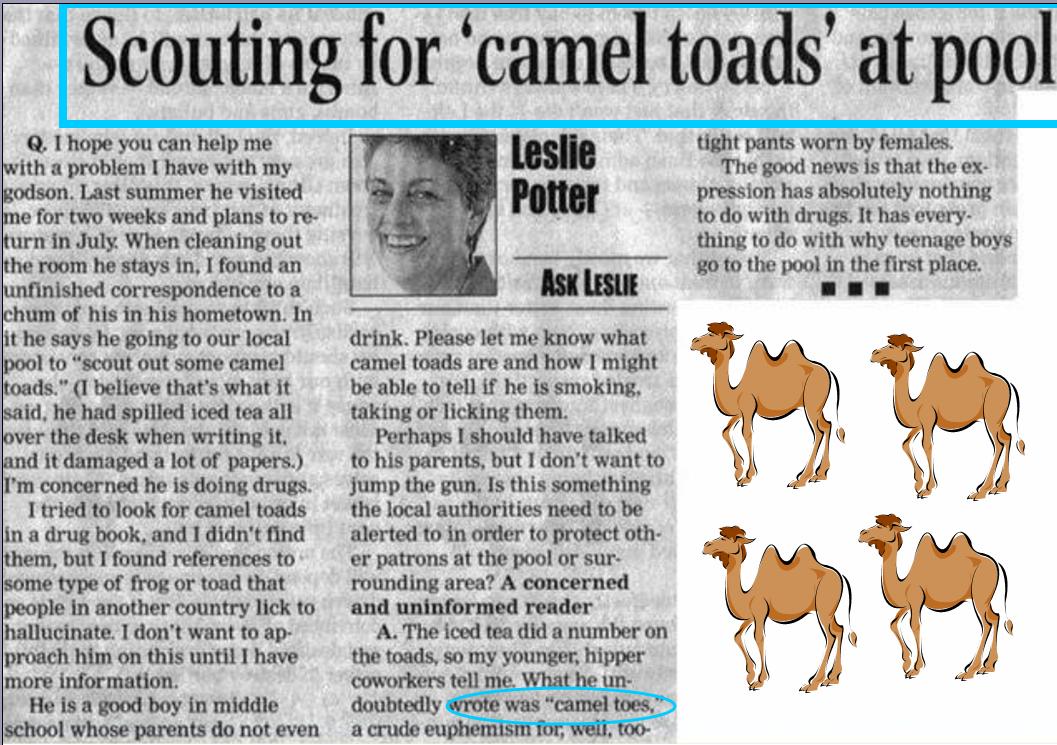 [camel-toad.jpg]