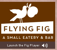 [flying_fig_logo.gif]