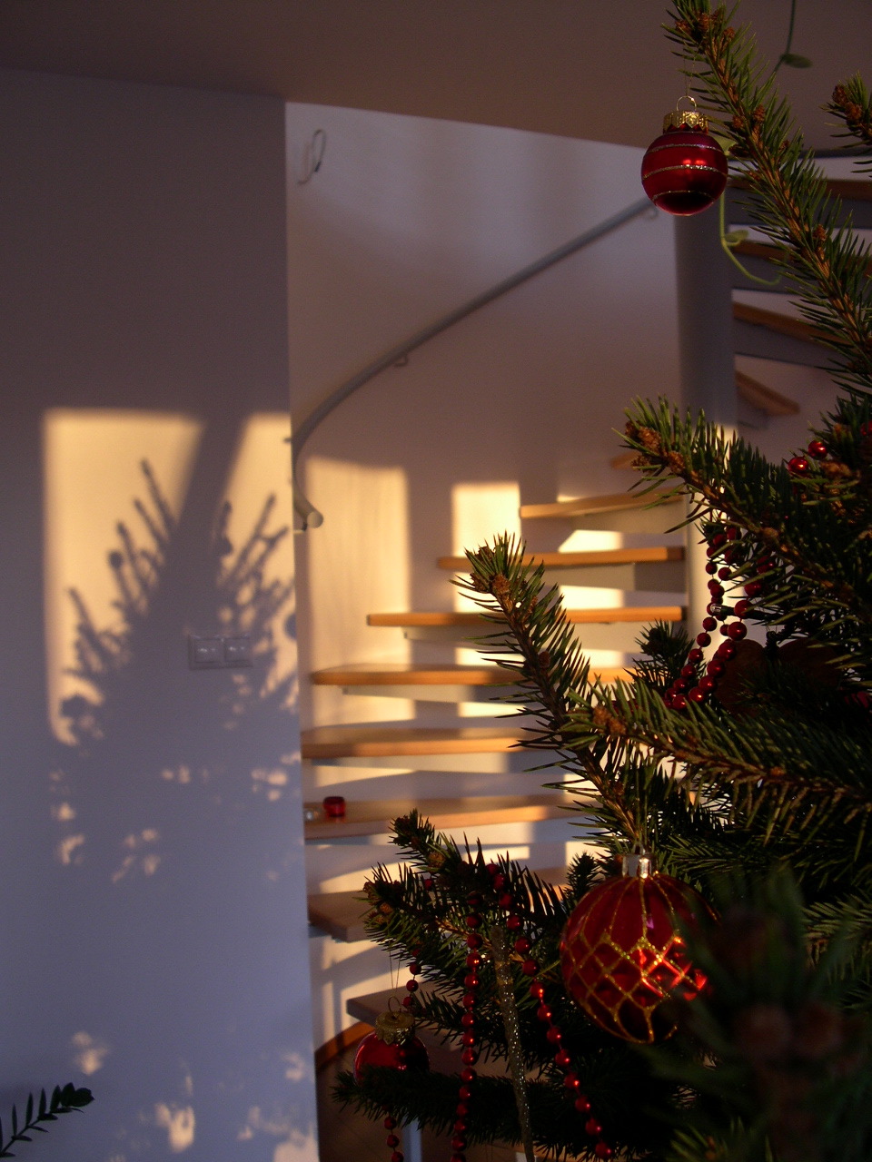[christmas+tree.JPG]
