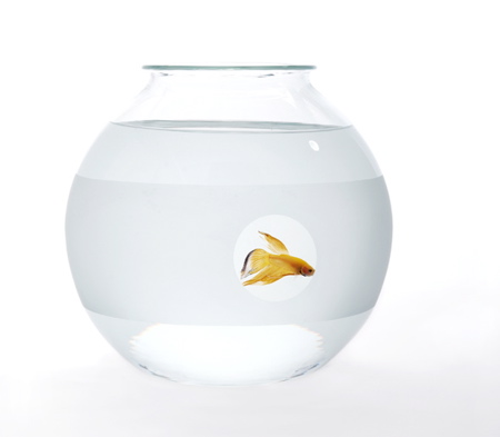 [web-fishbowl-private-matters.jpg]